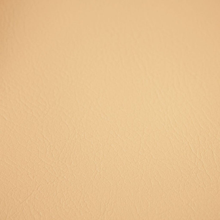 Fortitude Performance Vinyl Alabaster by RM CoCo Fabric Fortitude 100% PVC Backing 100% Polyester See Sample 1500000 Horizontal: 0 and Vertical: 0 54 - Fabric Carolina -