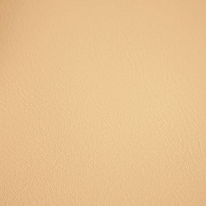 Fortitude Performance Vinyl Alabaster by RM CoCo Fabric