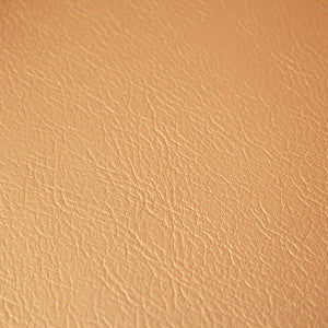 Fortitude Performance Vinyl Frosted Ivory by RM CoCo Fabric