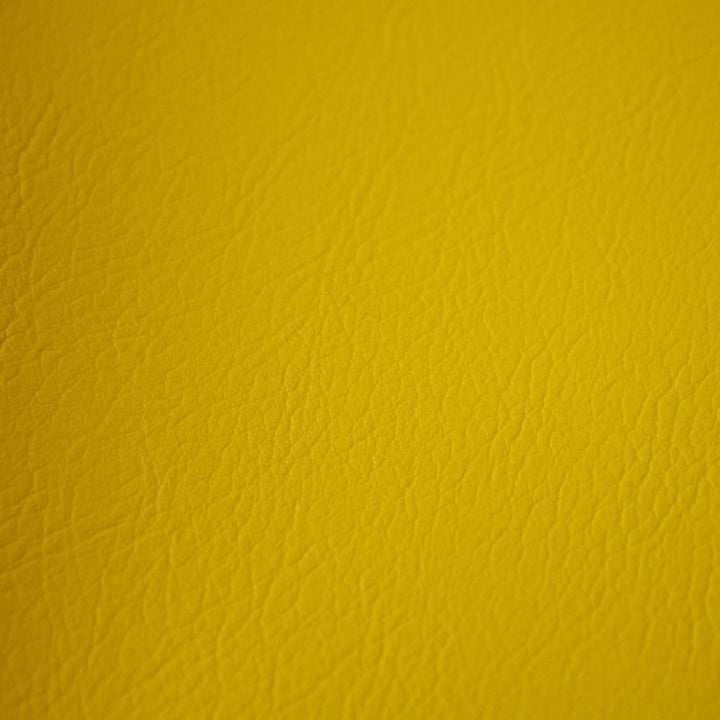 Fortitude Performance Vinyl Pistachio by RM CoCo Fabric Fortitude 100% PVC Backing 100% Polyester See Sample 1500000 Horizontal: 0 and Vertical: 0 54 - Fabric Carolina -