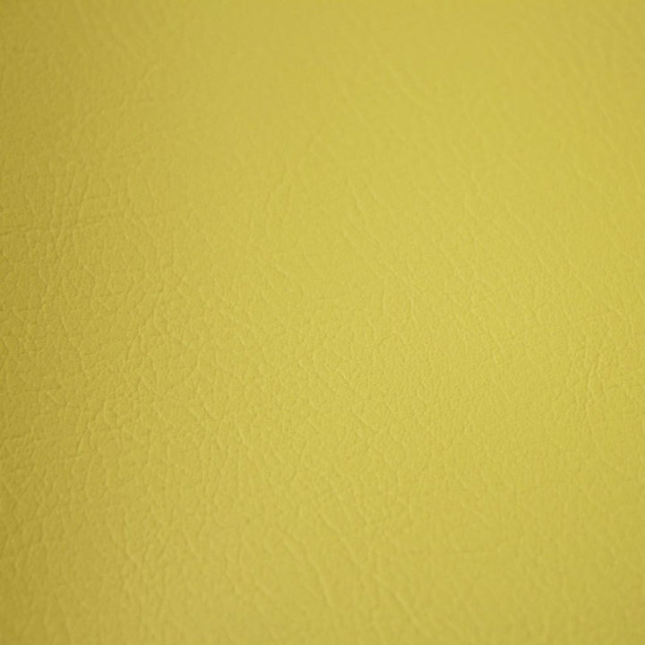 Fortitude Performance Vinyl Sage by RM CoCo Fabric