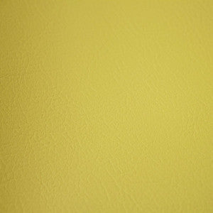 Fortitude Performance Vinyl Sage by RM CoCo Fabric
