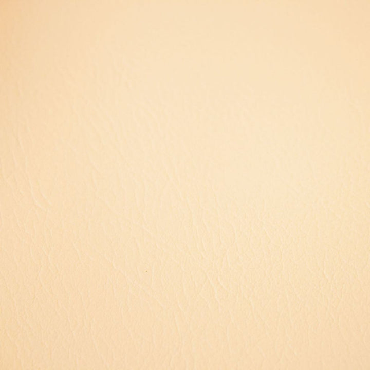 Fortitude Performance Vinyl Vanilla Latte by RM CoCo Fabric Fortitude 100% PVC Backing 100% Polyester See Sample 1500000 Horizontal: 0 and Vertical: 0 54 - Fabric Carolina -