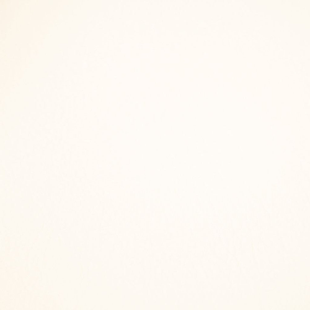 Fortitude Performance Vinyl Flaked Coconut by RM CoCo Fabric Fortitude 100% PVC Backing 100% Polyester See Sample 1500000 Horizontal: 0 and Vertical: 0 54 - Fabric Carolina -