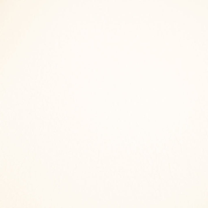 Fortitude Performance Vinyl Flaked Coconut by RM CoCo Fabric Fortitude 100% PVC Backing 100% Polyester See Sample 1500000 Horizontal: 0 and Vertical: 0 54 - Fabric Carolina -