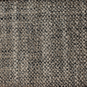 Oxford Graphite by RM CoCo Fabric