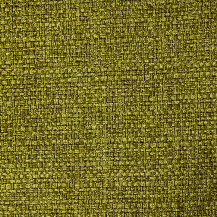 Stonebriar Greenery by RM CoCo Fabric Stonebriar 100% Polyester See Sample 0 Horizontal: 00 59  - Fabric Carolina -