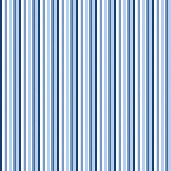 Beachcomber Stripe Surf's Up by RM CoCo Fabric