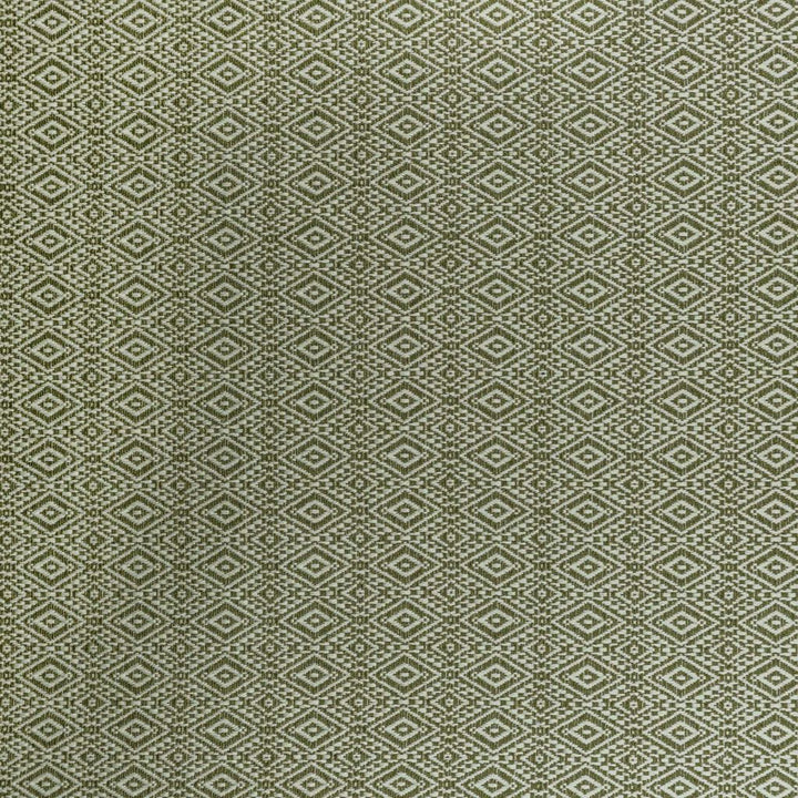 Ellington Crypton Basil by RM CoCo Fabric Winner's Circle IV 70% Cotton 30% Polyester See Sample 40000 Horizontal: 1.48 and Vertical: 0.88 54 - Fabric Carolina -