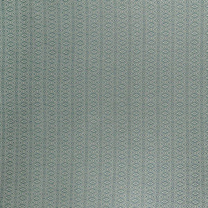 Ellington Crypton Capri by RM CoCo Fabric