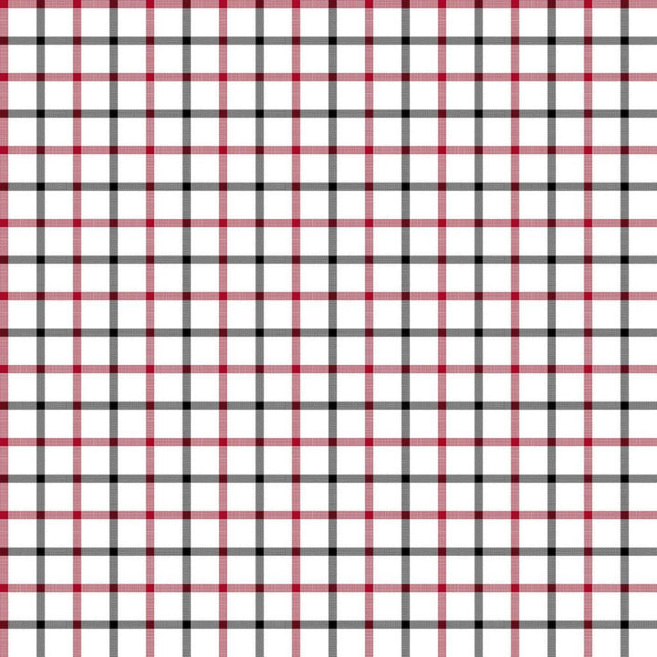 Cool Cat Check Red Hot by RM CoCo Fabric ColorWorks Spring 2022 RM Studio See Sample 0 Horizontal: 3 and Vertical: 3 0 - Fabric Carolina -