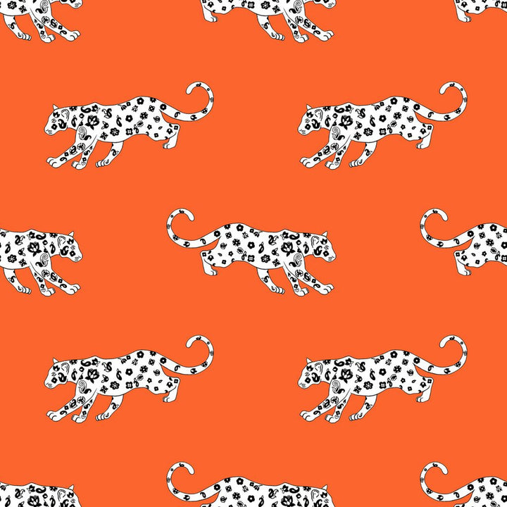 Cool Cat Orange Slice by RM CoCo Fabric ColorWorks Spring 2022 RM Studio See Sample 0 Horizontal: 13.5 and Vertical: 13.5 0 - Fabric Carolina -