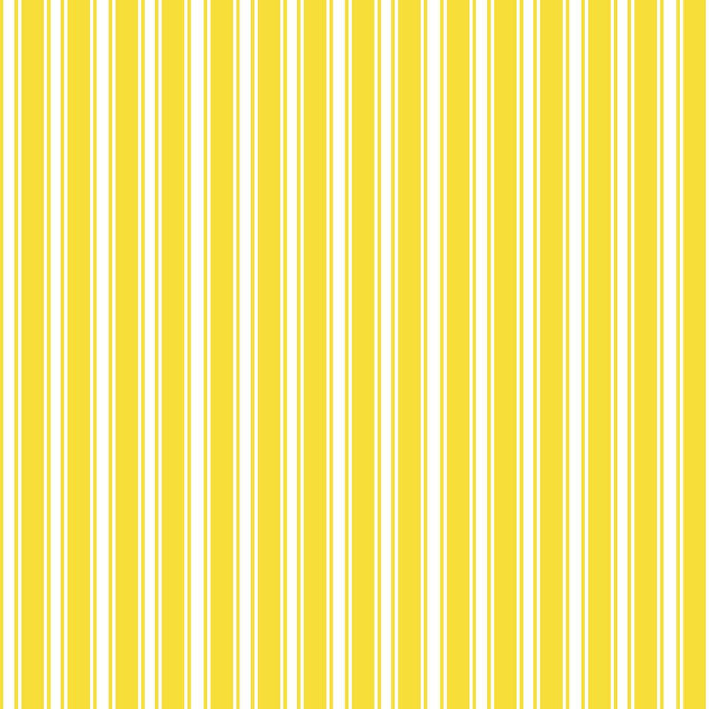 Double Dutch Stripe Reversal Goldenrod by RM CoCo Fabric