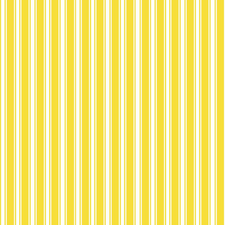 Double Dutch Stripe Reversal Goldenrod by RM CoCo Fabric