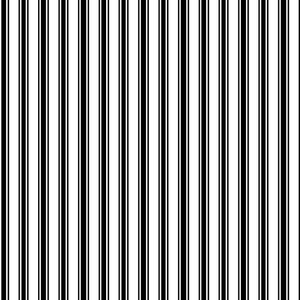 Double Dutch Stripe Domino by RM CoCo Fabric