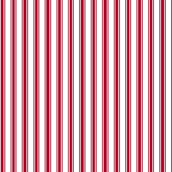 Double Dutch Stripe Spitfire by RM CoCo Fabric