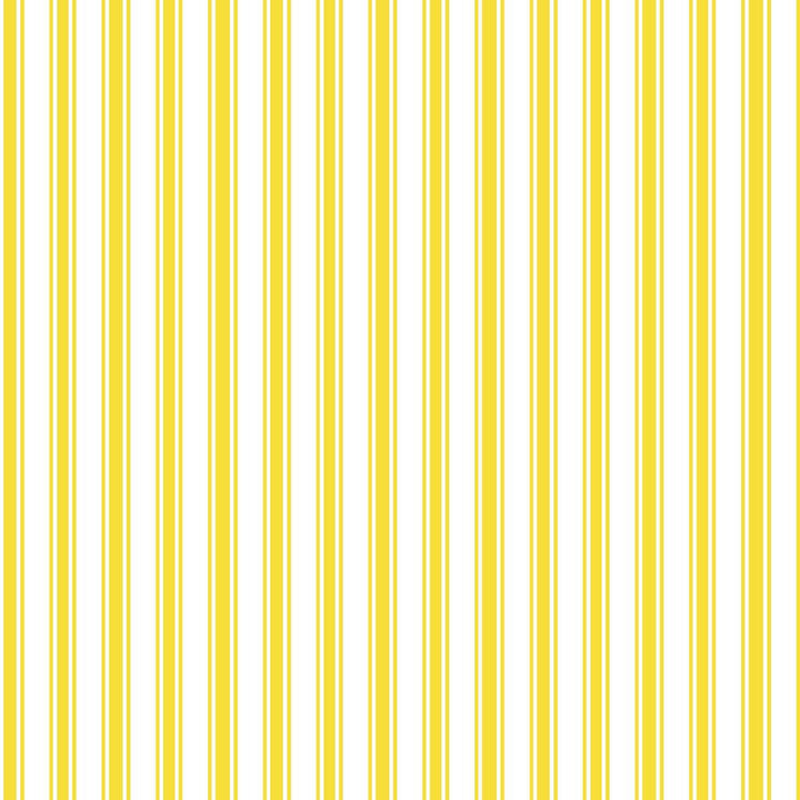 Double Dutch Stripe Sunshine by RM CoCo Fabric ColorWorks Spring 2022 RM Studio See Sample 0 Horizontal: 0.625 and Vertical: 0 0 - Fabric Carolina -