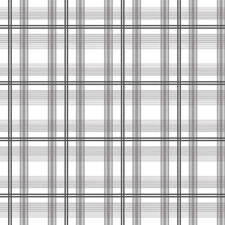Cozy Plaid Charcoal by RM CoCo Fabric ColorWorks Spring 2022 RM Studio See Sample 0 Horizontal: 6.75 and Vertical: 6.75 0 - Fabric Carolina -