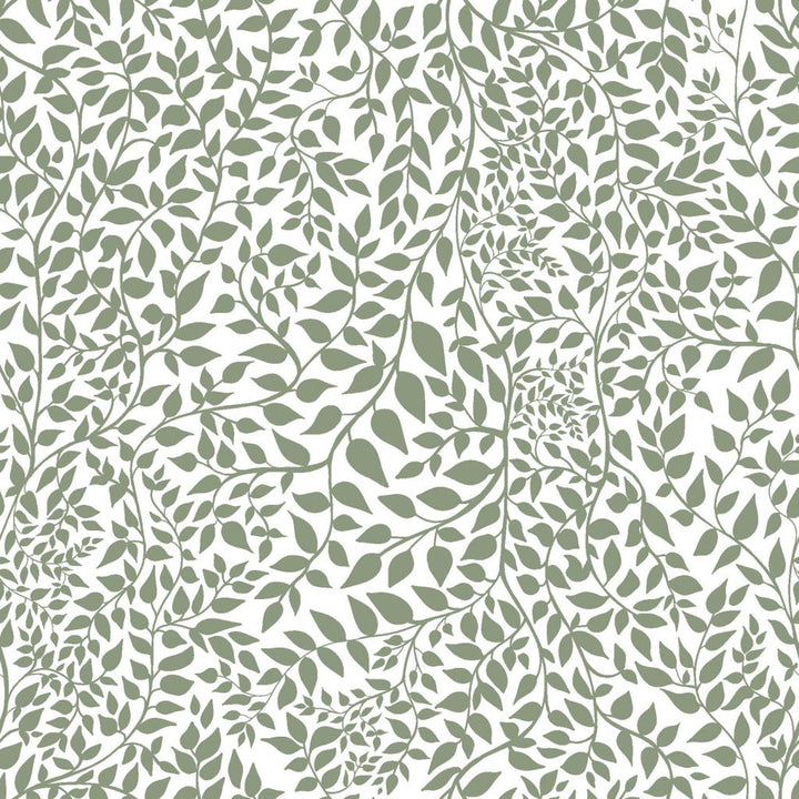 Leafy Sweet Bay by RM CoCo Fabric ColorWorks Spring 2022 RM Studio See Sample 0 Horizontal: 27 and Vertical: 27 0 - Fabric Carolina -