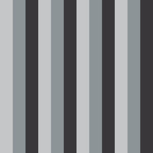 Oakwood Hall Stripe Charcoal by RM CoCo Fabric