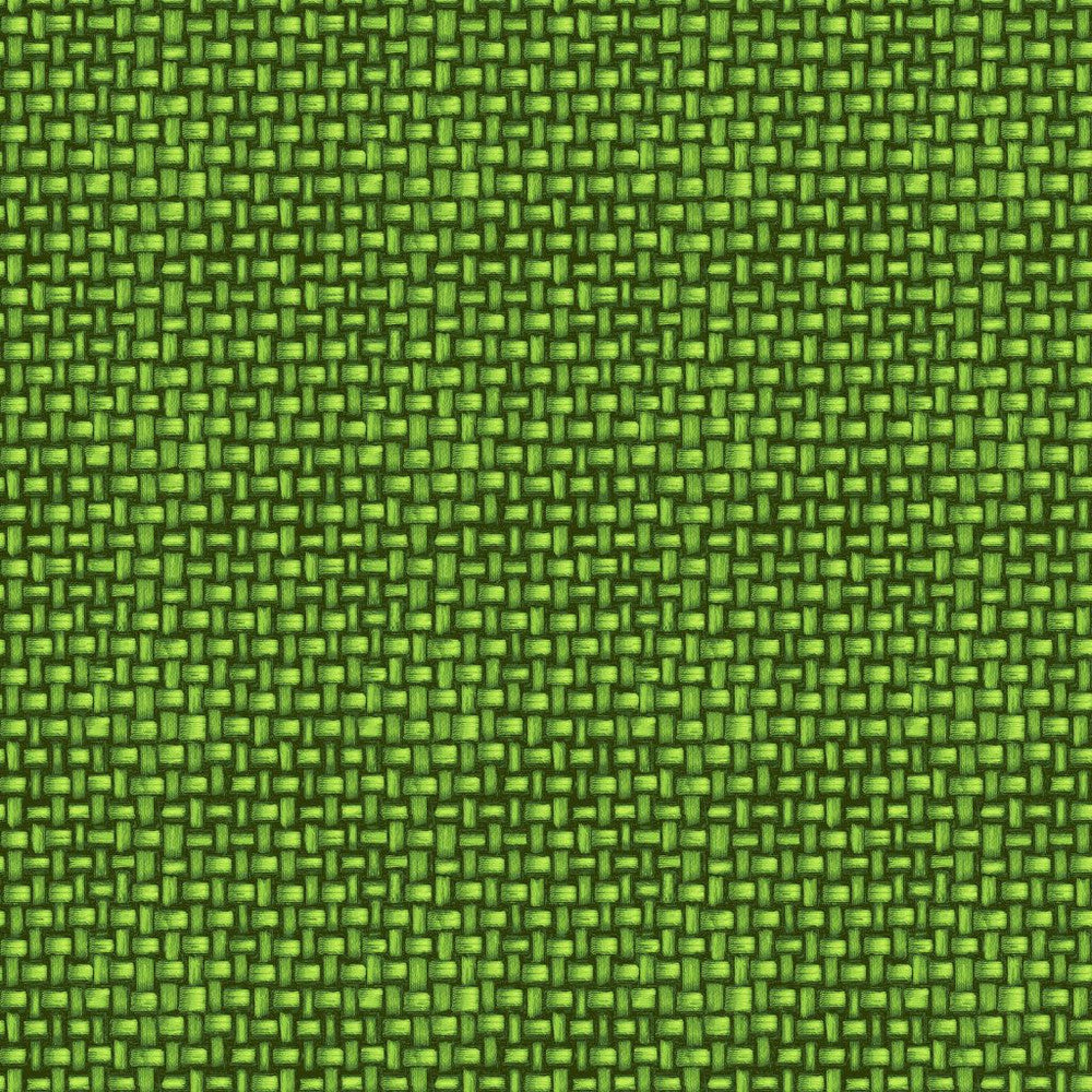 Tiki Cabana Key Lime by RM CoCo Fabric ColorWorks Spring 2022 RM Studio See Sample 0 Horizontal: 6.75 and Vertical: 6.75 0 - Fabric Carolina -