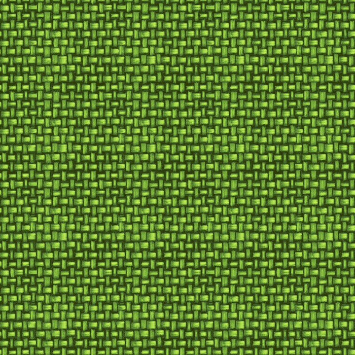 Tiki Cabana Key Lime by RM CoCo Fabric ColorWorks Spring 2022 RM Studio See Sample 0 Horizontal: 6.75 and Vertical: 6.75 0 - Fabric Carolina -