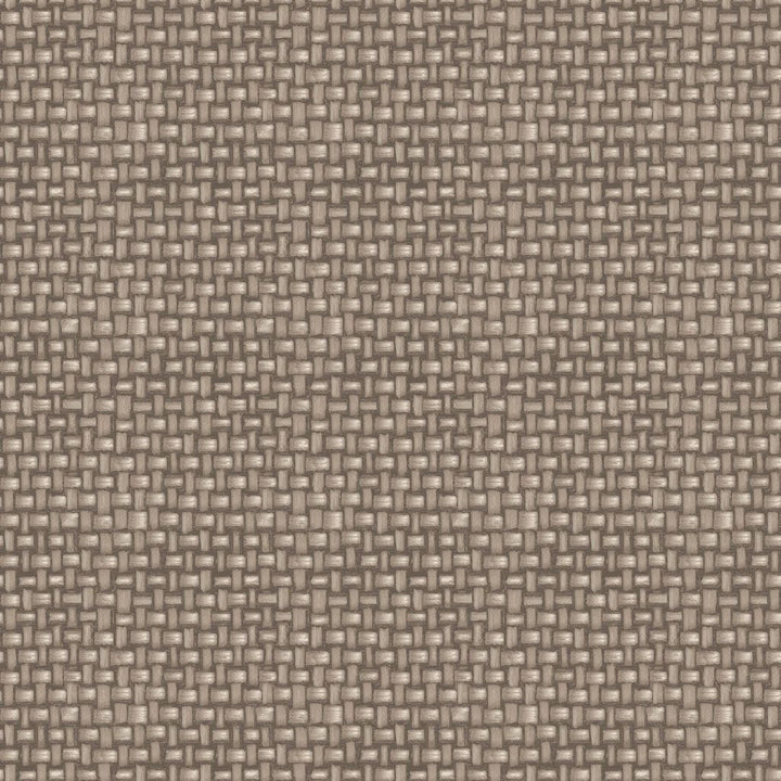 Tiki Cabana Coconut by RM CoCo Fabric ColorWorks Spring 2022 RM Studio See Sample 0 Horizontal: 6.75 and Vertical: 6.75 0 - Fabric Carolina -