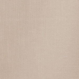 Smart Move Almond by RM CoCo Fabric