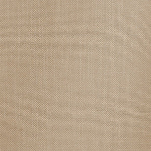 Smart Move Champagne by RM CoCo Fabric