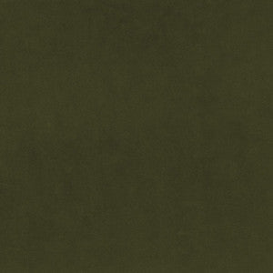 Marquee FR Velvet Basil by RM CoCo Fabric