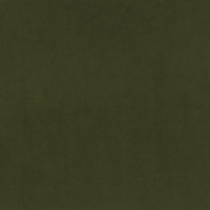 Marquee FR Velvet Basil by RM CoCo Fabric Marquee FR Velvet 100% FR Polyester See Sample 105000 Horizontal: 0 and Vertical: 0 59 - Fabric Carolina -