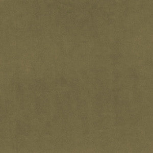 Marquee FR Velvet Wasabi by RM CoCo Fabric