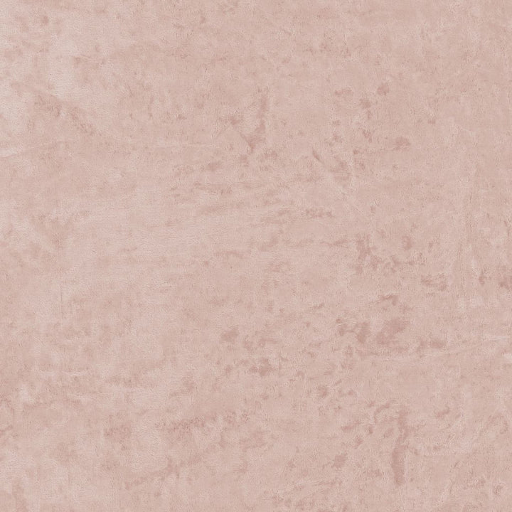 Ritz Velvet Cameo by RM CoCo Fabric Ritz Velvet 100% Polyester See Sample 35000 Horizontal: 0 and Vertical: 0 57 - Fabric Carolina -