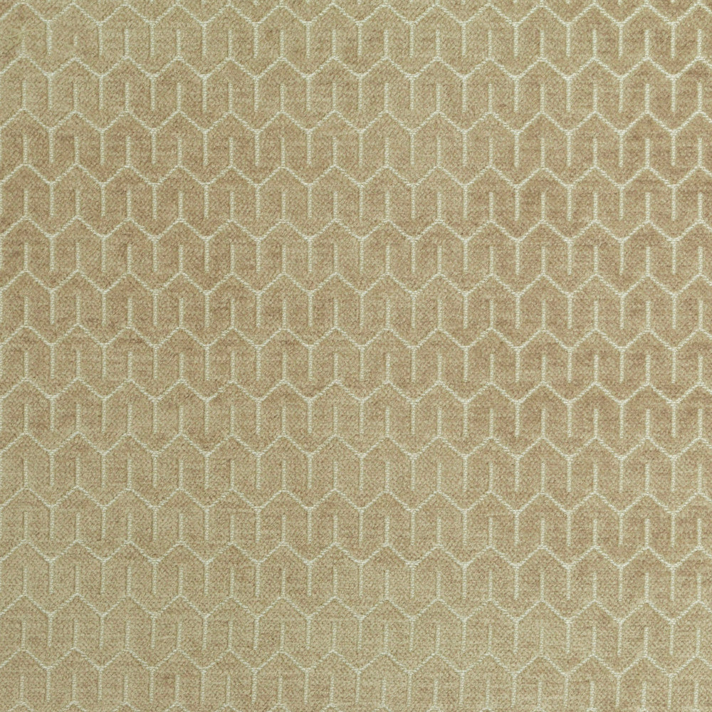 Petite Parchment 204 by P Kaufmann Fabrics Fabric