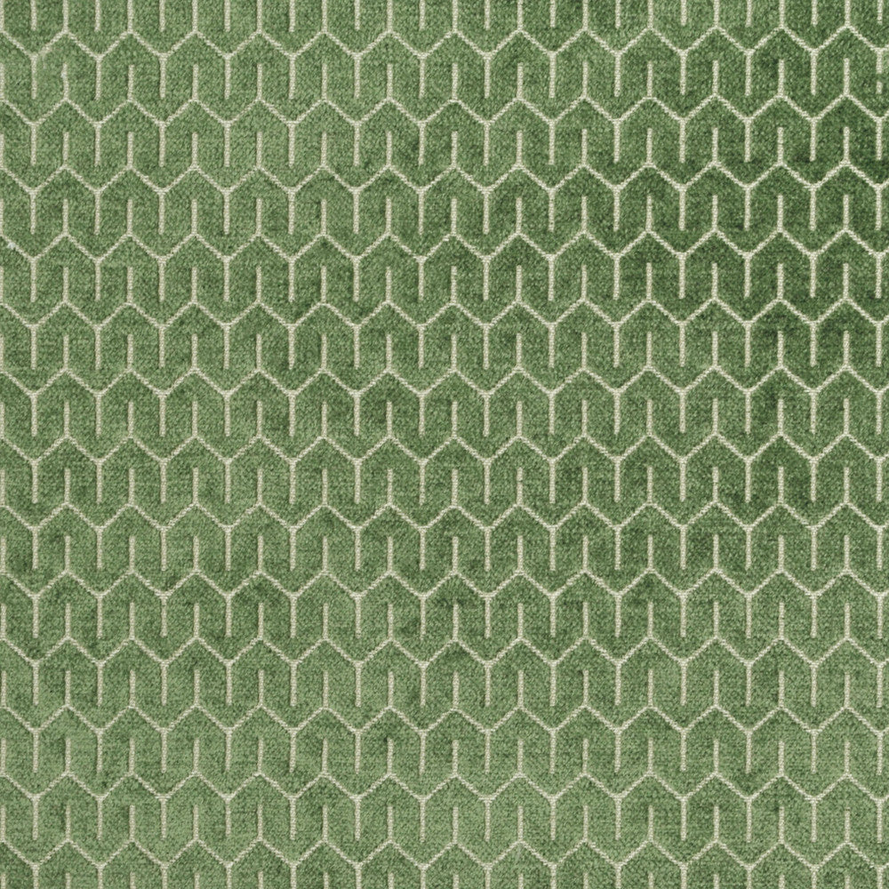 Petite Grass 321 by P Kaufmann Fabrics Fabric