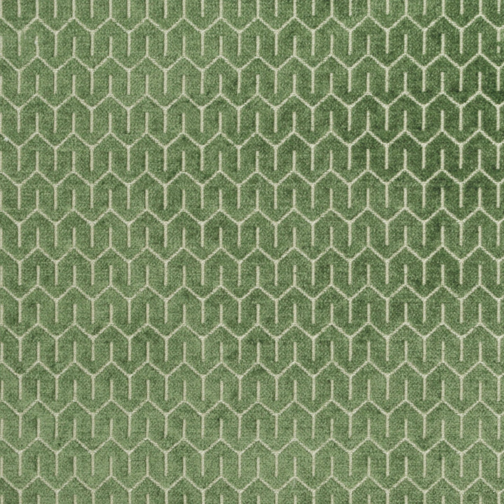 Petite Grass 321 by P Kaufmann Fabrics Fabric
