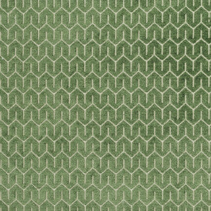 Petite Grass 321 by P Kaufmann Fabrics Fabric