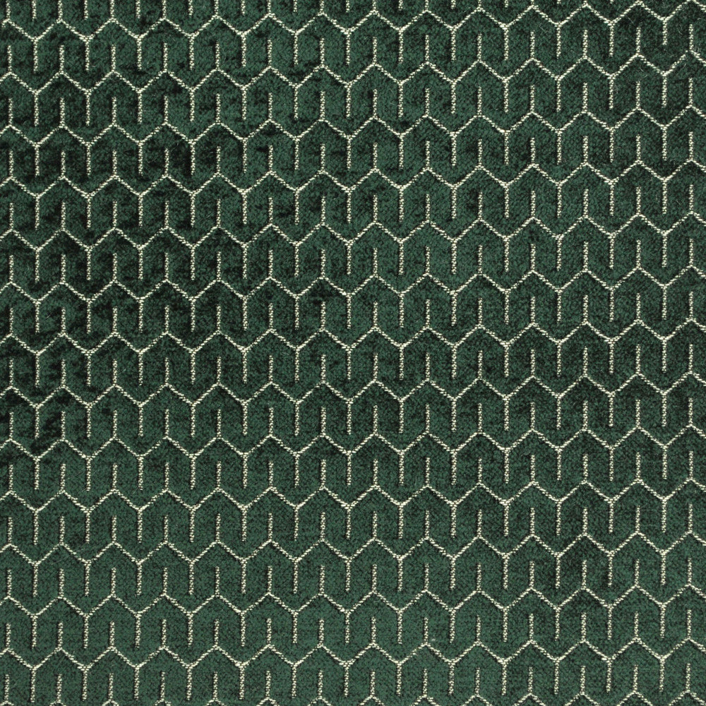 Petite Kale 398 by P Kaufmann Fabrics Fabric