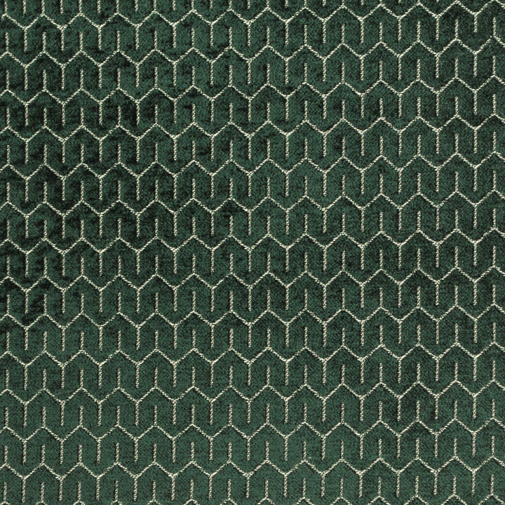 Petite Kale 398 by P Kaufmann Fabrics Fabric