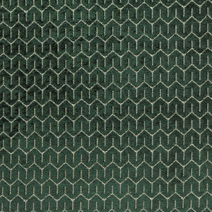 Petite Kale 398 by P Kaufmann Fabrics Fabric