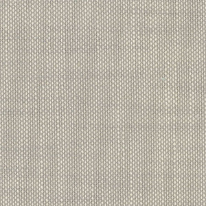 Aruba Fog by RM CoCo Fabric