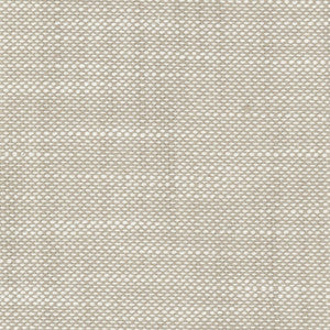 Aruba Linen by RM CoCo Fabric