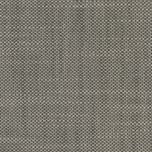 Aruba Pewter by RM CoCo Fabric