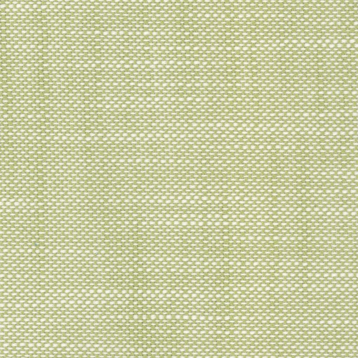 Aruba Spring Green by RM CoCo Fabric Island Breeze Inside Out Performance Fabrics 100% Polyester (UV) See Sample 63000 Horizontal: 0.06 and Vertical: 0.06 55 - Fabric Carolina -