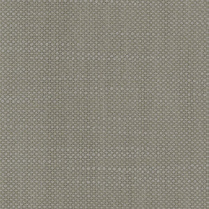 Aruba Titanium by RM CoCo Fabric