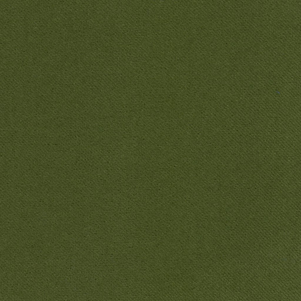 Barbados Basil by RM CoCo Fabric Island Breeze Inside Out Performance Fabrics 100% Polyester (UV) See Sample 200000 Horizontal: 0 and Vertical: 0 55 - Fabric Carolina -