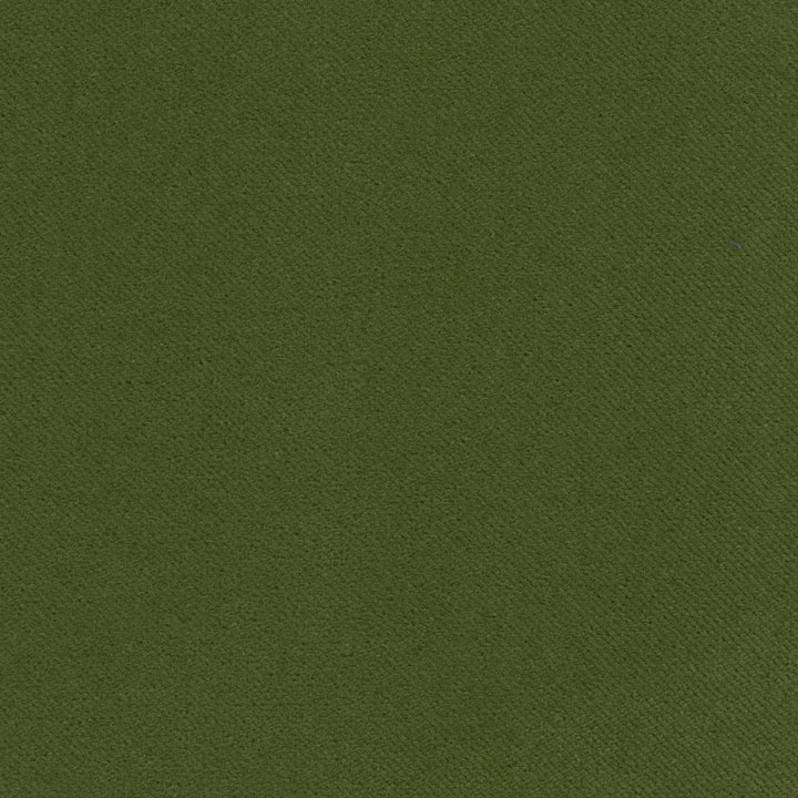 Barbados Basil by RM CoCo Fabric Island Breeze Inside Out Performance Fabrics 100% Polyester (UV) See Sample 200000 Horizontal: 0 and Vertical: 0 55 - Fabric Carolina -