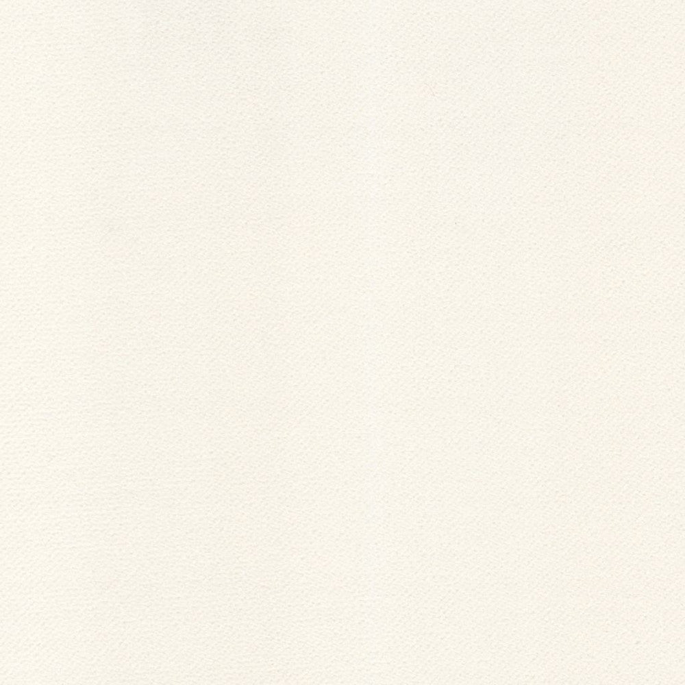 Barbados Winter White by RM CoCo Fabric Island Breeze Inside Out Performance Fabrics 100% Polyester (UV) See Sample 200000 Horizontal: 0 and Vertical: 0 55 - Fabric Carolina -