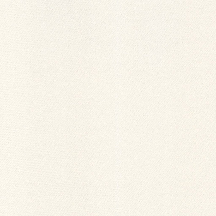 Barbados Winter White by RM CoCo Fabric Island Breeze Inside Out Performance Fabrics 100% Polyester (UV) See Sample 200000 Horizontal: 0 and Vertical: 0 55 - Fabric Carolina -