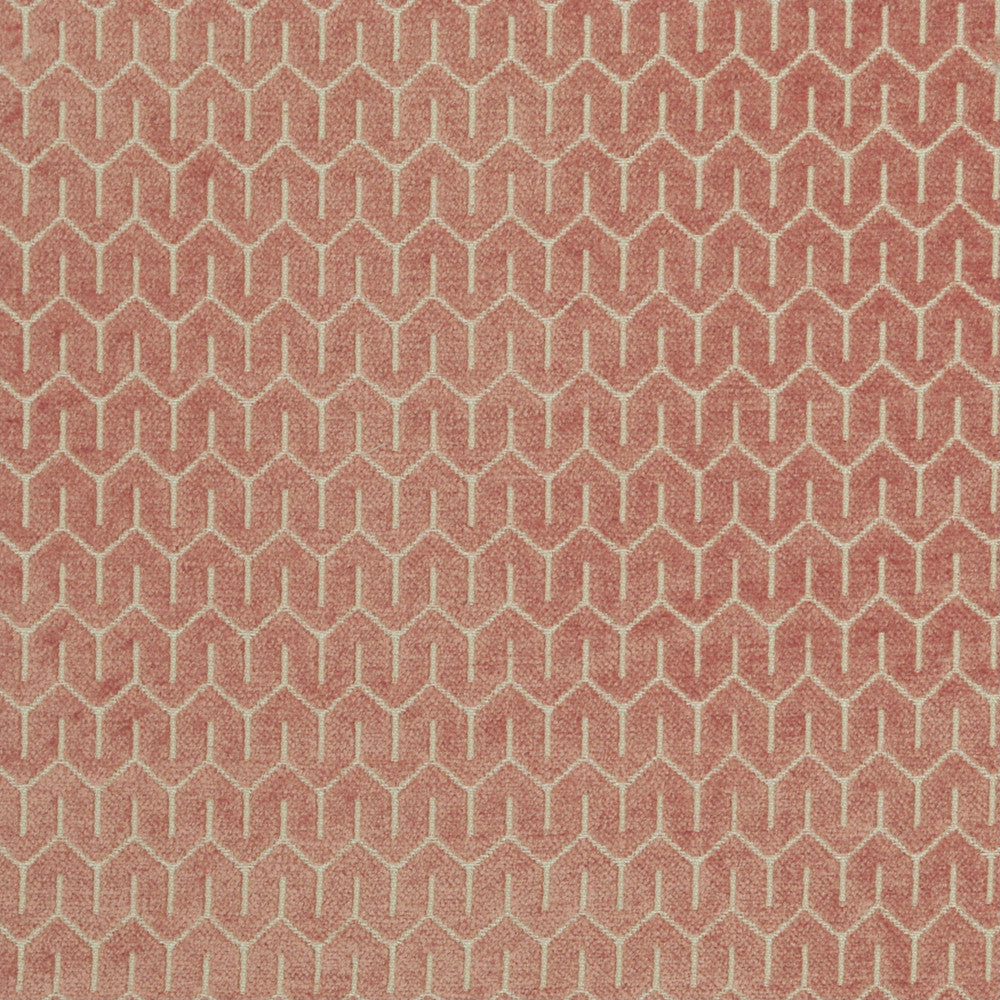 Petite Peony 588 by P Kaufmann Fabrics Fabric